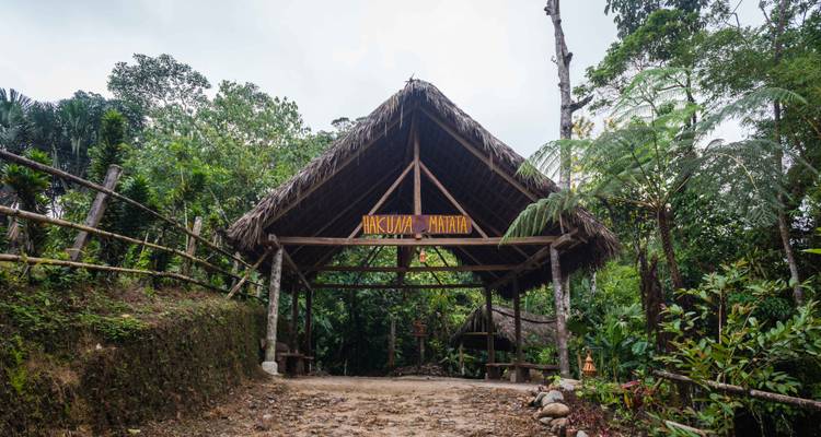Pavillon d'entrée rustique au toit de chaume du Hakuna Matata Amazon Lodge entouré d'une végétation luxuriante de forêt tropicale