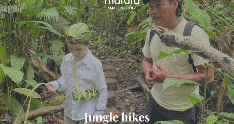 Image promotionnelle de randonnée en jungle avec guide et enfant marchant à travers un feuillage dense, superposition de texte présente