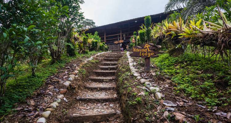 Escalier en pierre à travers une jungle luxuriante menant au Hakuna Lodge avec un panneau directionnel en bois