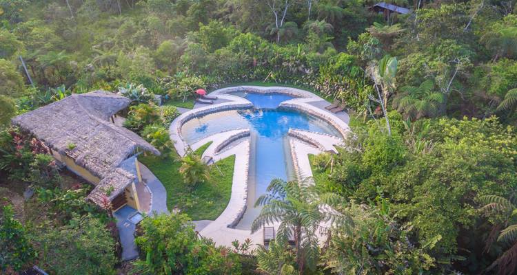 Vue de drone d'un complexe de piscines en forme de palmier niché dans l'épaisse végétation de la jungle amazonienne