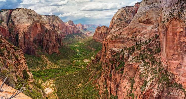 Panoramic vista of sheer red cliffs and green valley floor in Zion National Park under moody clouds.