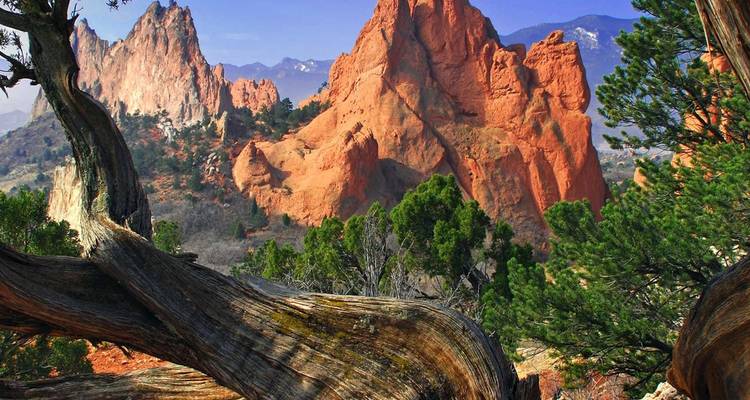 Formaciones dramáticas de arenisca roja enmarcadas por pinos retorcidos en un paisaje desértico.