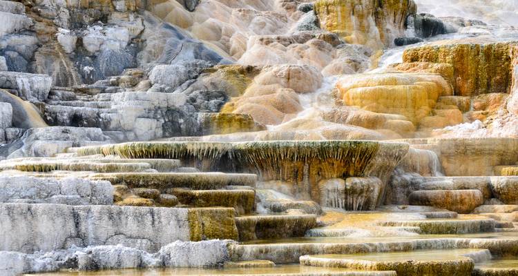 Formations minérales en terrasses de Mammoth Hot Springs présentant des dépôts blancs, jaunes et oranges