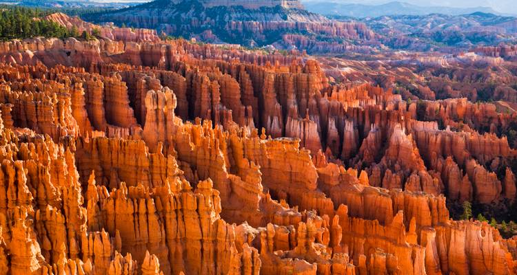 Vaste amphithéâtre de cheminées de fées et de flèches orange flamboyant dans Bryce Canyon sous un ciel dégagé