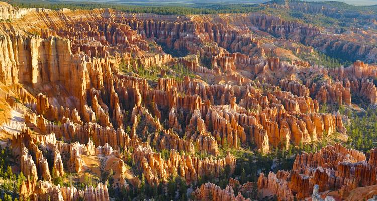 Vue panoramique à vol d'oiseau d'innombrables cheminées de fées orange s'étendant à travers le parc national de Bryce Canyon