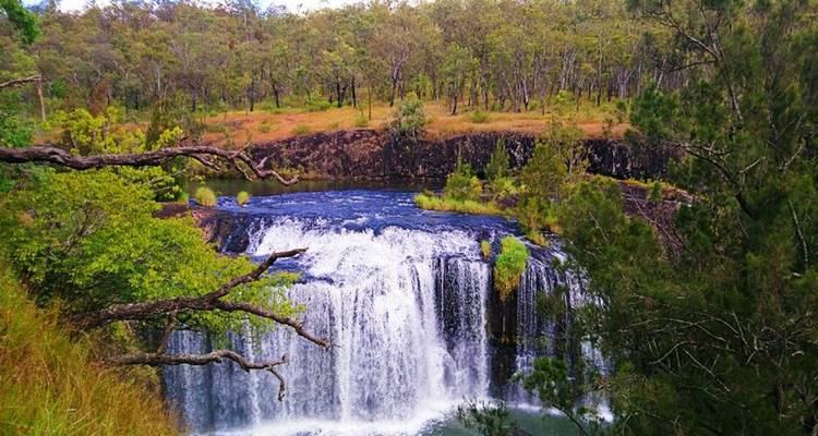Une vaste cascade tombe dans un bassin sombre entouré d'une forêt d'eucalyptus et de branches couvertes de mousse.
