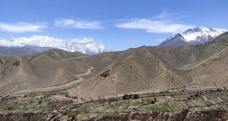 Vue panoramique de champs en terrasses et de collines arides avec la chaîne enneigée des Annapurna en arrière-plan.