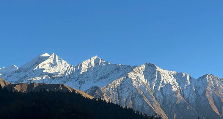 Scherpe met sneeuw bedekte Himalaya-toppen rijzen op boven donkere met dennen bedekte voorheuvels onder een kristalheldere hemel.