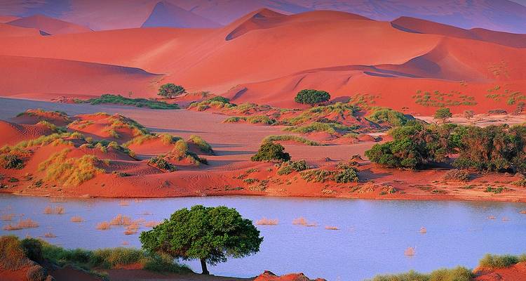 Vivid red dunes of Sossusvlei with a tranquil desert lake and scattered trees.