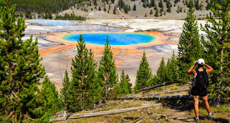 Randonneur regarde le Grand Prismatic Spring aux couleurs vives bleues et oranges depuis un point de vue forestier.