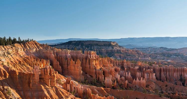Expansive vista of Bryce Canyon’s red hoodoos glowing in soft morning light.