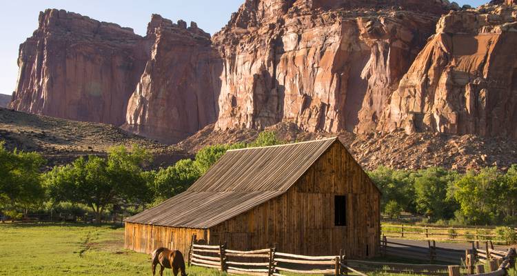 Rustic wooden barn and grazing horse set against dramatic red cliffs at Capitol Reef National Park.