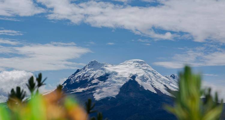 Schneebedeckter Andengipfel, der sich über unscharfe alpine Vegetation unter einem strahlend blauen Himmel erhebt