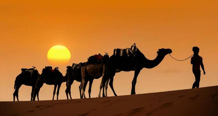 Caravana de camellos en silueta guiada por un guía a lo largo de la cresta de una duna contra la ardiente puesta de sol del Sahara.