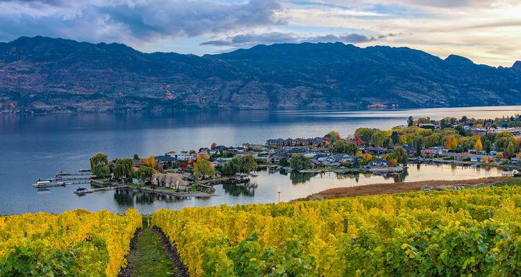 Autumn vineyards overlook a sparkling lake and mountain backdrop in the Okanagan Valley.