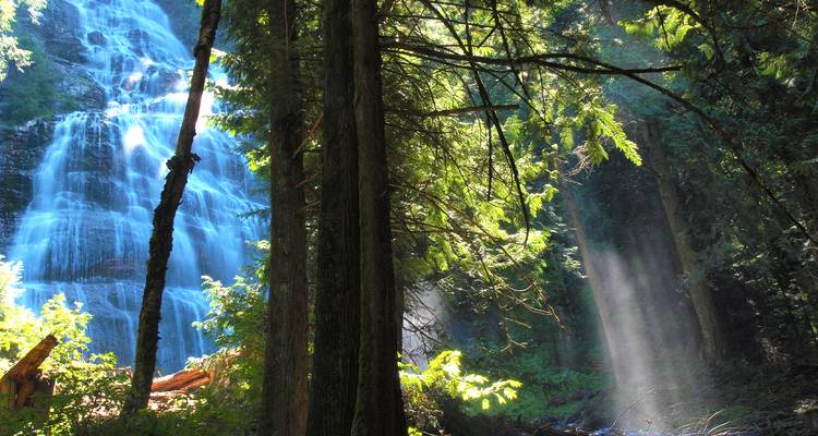 A cascading waterfall pours through dense evergreen forest with sunbeams illuminating the mist.