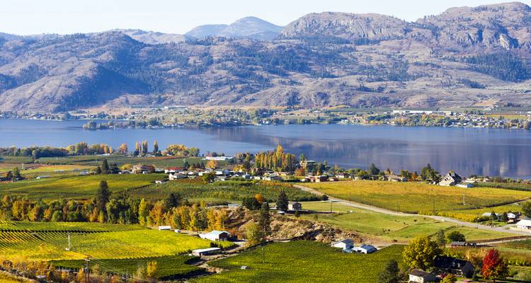 Patchwork vineyards and farms stretch toward a tranquil lake framed by arid hills and mountains.