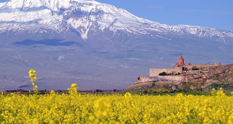 Das Kloster Chor Virap liegt inmitten gelber Blumenfelder mit dem schneebedeckten Berg Ararat, der sich majestätisch im Hintergrund erhebt.