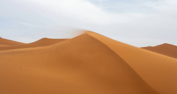 Crestas suavizadas por el viento de dunas de arena naranja bajo un cielo azul pálido.