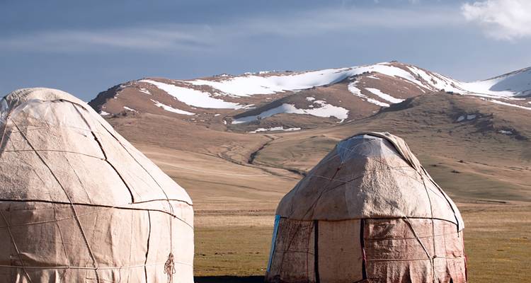 Dos yurtas tradicionales de fieltro en una llanura abierta con montañas rayadas de nieve al fondo