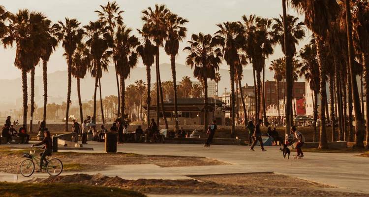 Palmengesäumter Skatepark und Strandszene am Venice Beach mit Personen beim Radfahren, Skaten und Entspannen im Licht des späten Nachmittags.