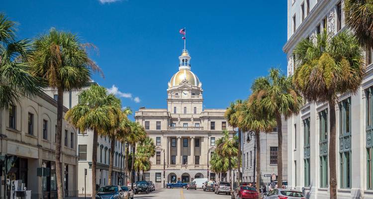 Historisch stadhuis van Savannah met zijn gouden koepel aan het einde van een met palmbomen omzoomde straat op een heldere dag.