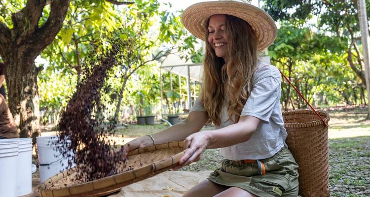 A woman joyfully winnows cacao beans in a basket amid tropical orchard greenery.