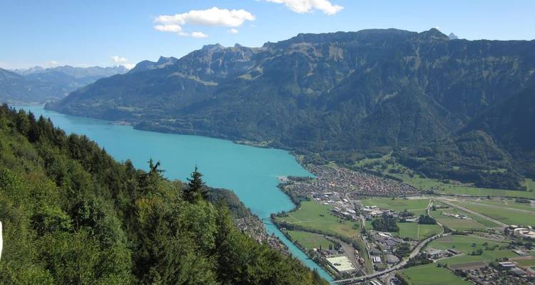 Un lac turquoise s'étend en contrebas de pentes boisées et des imposantes Alpes suisses près d'Interlaken.