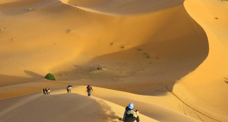Viajeros caminando por una alta duna de arena dorada en el desierto con curvas y patrones ondulantes.
