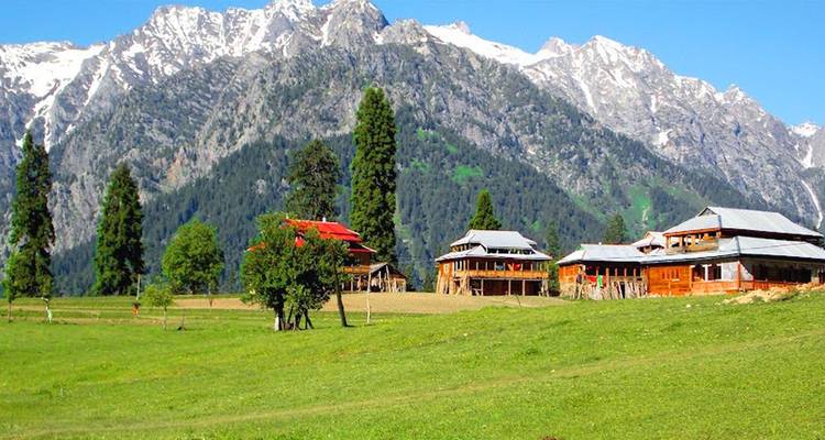 Village alpin verdoyant avec des maisons en bois situées au pied de pics enneigés escarpés.