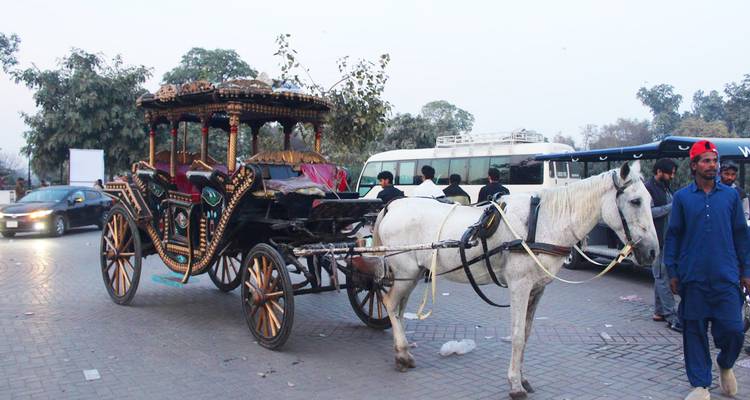 Une calèche décorative tirée par des chevaux attend dans une rue pavée à côté de véhicules et d'un conducteur.