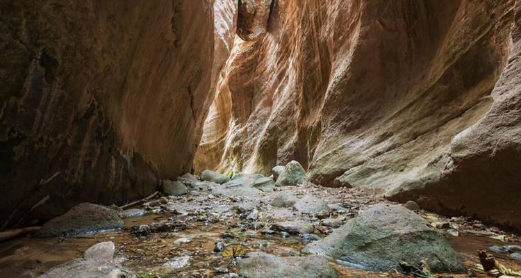 Quiet section of a rocky gorge with shallow stream and towering sandstone walls