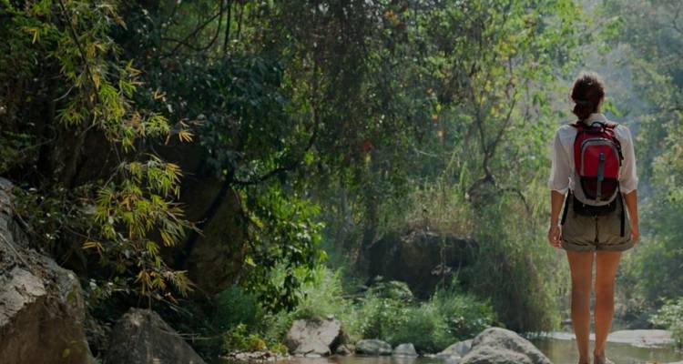 Back view of female hiker with backpack walking along a forest stream surrounded by greenery