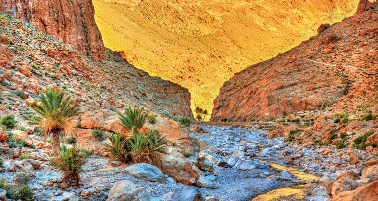 Desfiladero rocoso colorido con palmeras del desierto y lecho seco del río iluminado por luz cálida