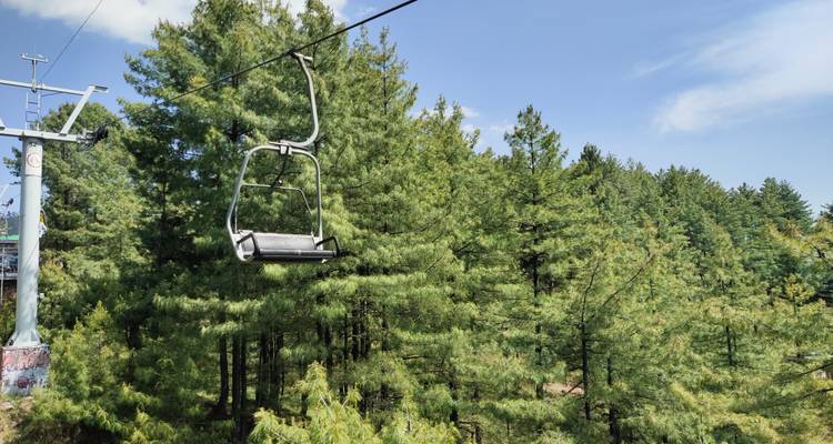 Empty chairlift gliding over dense green pine forest under clear blue sky
