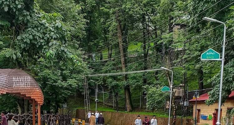 Public park walkway lined with tall trees, people strolling and signage in Urdu
