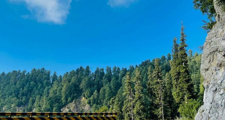 Mountain road guardrail with tall conifer forest under vivid blue sky