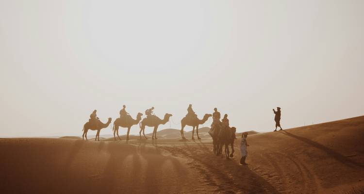 Caravana de camellos silueteada avanza por la cresta de una duna iluminada por el sol al amanecer en el Sahara.