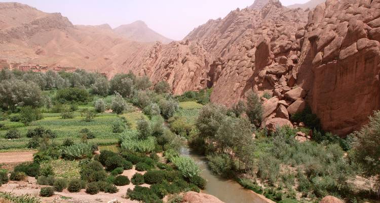 Valle oasis verde con río que fluye bajo imponentes paredes rocosas de color rosa rojizo en la zona del Desfiladero de Todra.