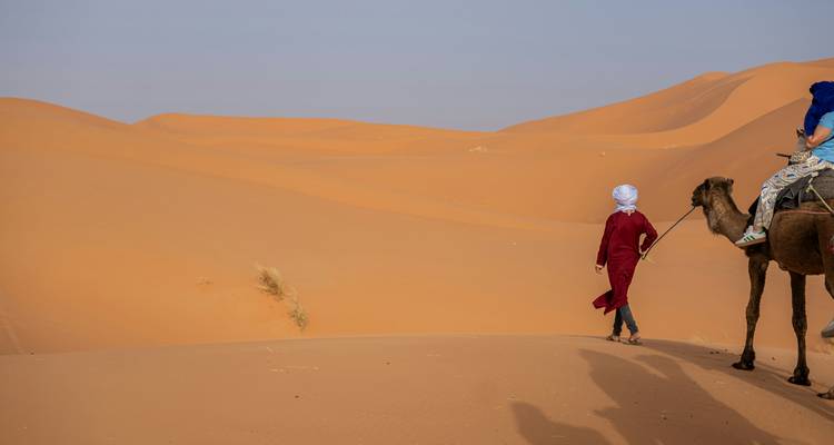 Guía llevando un camello y jinete a través de arena naranja con suaves colinas del desierto al fondo