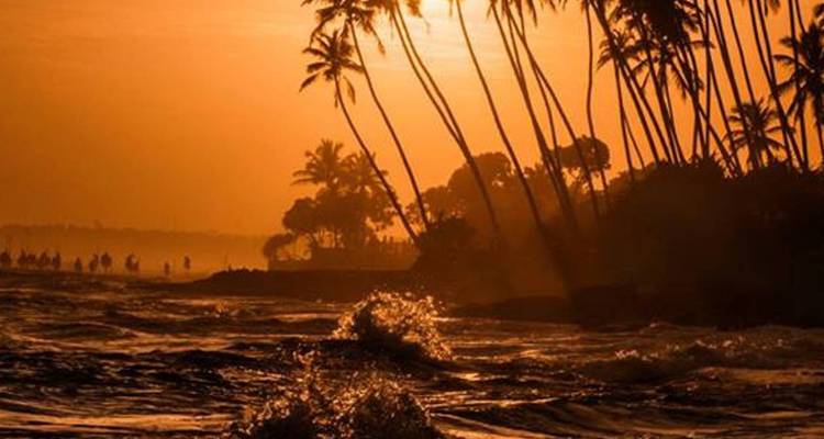 Coucher de soleil orange dramatique sur les vagues de l'océan et silhouettes de palmiers penchés sur la côte sri-lankaise