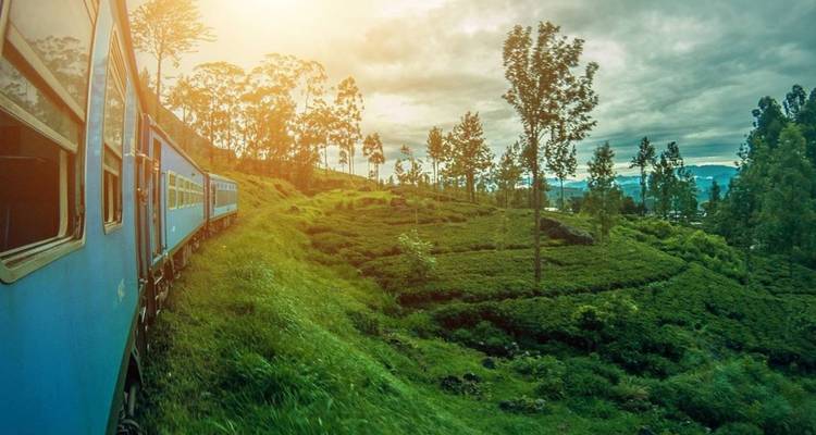Train bleu serpentant à travers des collines verdoyantes baignées de soleil chaleureux