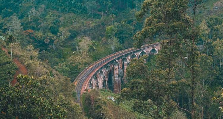 Eine historische Eisenbahnbrücke aus Backstein schlängelt sich durch dichten grünen Dschungel im Hochland Sri Lankas.