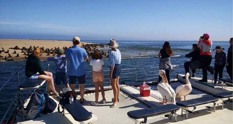 Toeristen op een catamaran die een grote kolonie zeehonden bekijken terwijl pelikanen in de buurt zitten