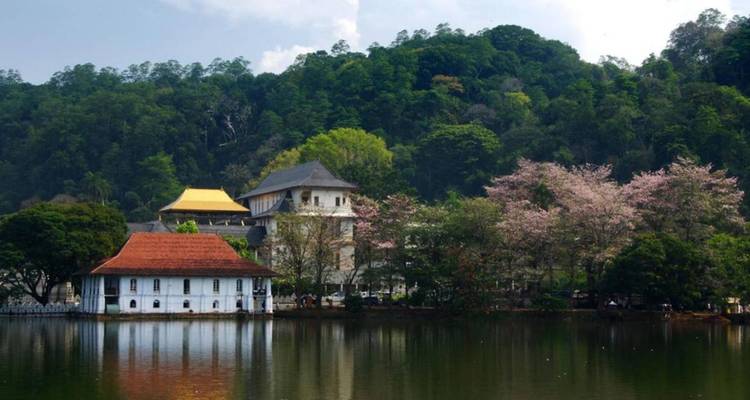 Ruhiger See mit dem Zahntempel-Komplex und blühenden Bäumen, die sich im stillen Wasser spiegeln.