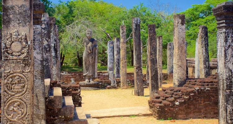 Reihe von Steinsäulen und stehende Buddha-Statue zwischen sonnenbeschienenen Ruinen, umgeben von Grün.
