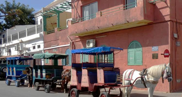 Rij kleurrijke paardenkoetsen geparkeerd langs een pastelroze gebouw met groene luiken