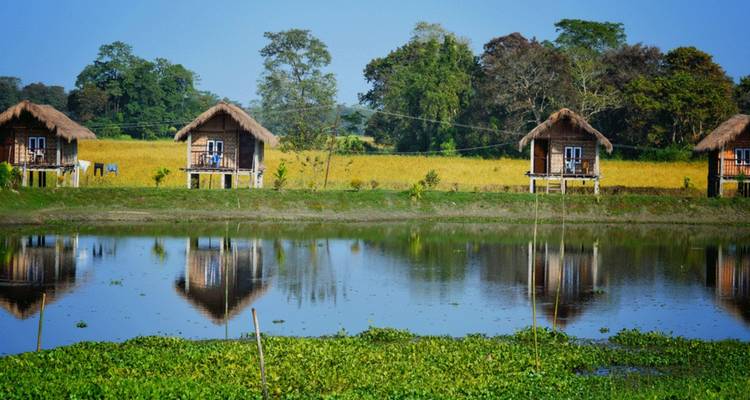 Thatched cottages reflected in a calm pond with yellow rice fields behind.