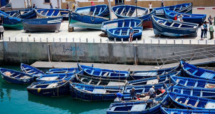 Numerous bright blue fishing boats docked side by side in Essaouira harbour with people working.