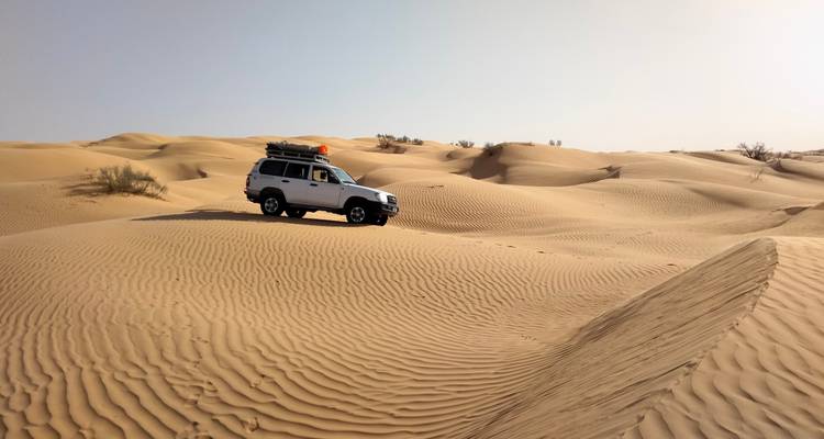 Un vehículo 4x4 atraviesa dunas doradas ondulantes bajo un pálido cielo desértico.